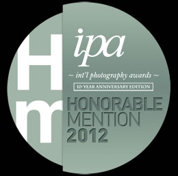 Honorable Mention Seal for IPA Award